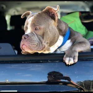 Meet your Posher, Jonathan